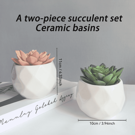 CasaVibe 11cm Artificial Succulent in White Ceramic Pots 2 Count