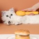 thumbnail image 3 of Fiudx Peine para Mascotas, Cepillo de Aseo Eficiente, Depilación con Un Solo Clic, Mango Antideslizante, Reduce La Caída Del Pelo y Los Enredos, para Perros y Gatos de Pelo Largo, Tamaño 19,8 X 8,7 X, 3 of 7