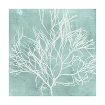 Trademark Fine Art 'Seaweed on Aqua II' Canvas Art by Vision Studio
