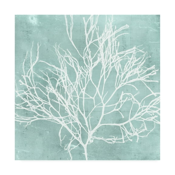 Trademark Fine Art 'Seaweed on Aqua II' Canvas Art by Vision Studio