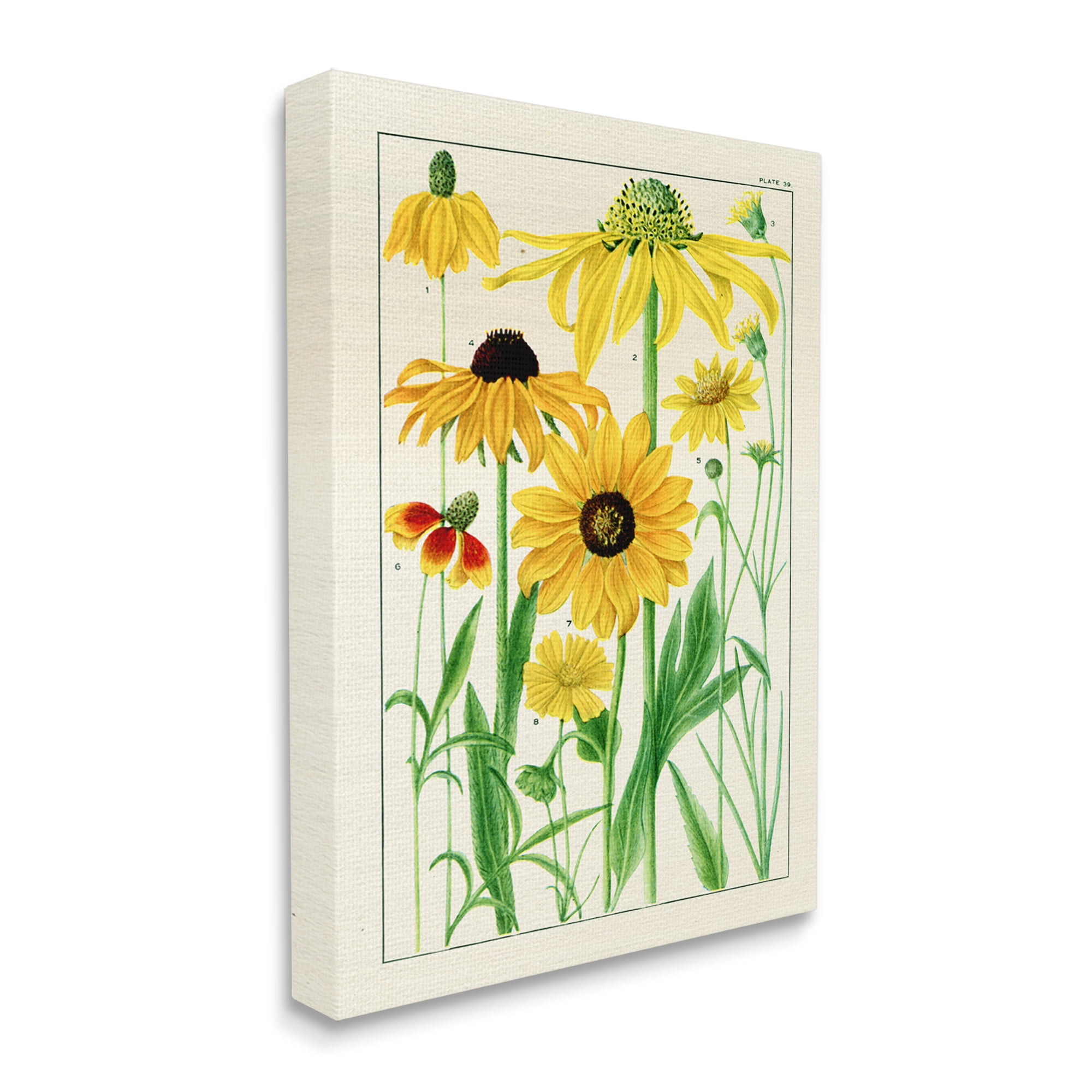 Stupell Industries Vintage Yellow Daisies Botanical & Floral Painting Gallery Wrapped Canvas Print Wall Art, 30 x 40