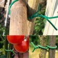 thumbnail image 4 of Weatherproof 3.5mm Gardening Wire for Securing Climbing Plant and Delicate Flower Stems, 4 of 8