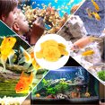 thumbnail image 3 of unbranded De Acuario Con Coral Simulado De Silicona Amarillo Para Paisaje Duradero, 3 of 5