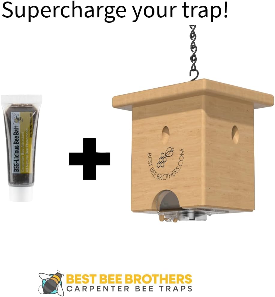 WLTER Pine Turbo Trap, Professional-Grade Carpenter Bee Trap for Outside with Bee Vault & Internal Turbo Funnel, 6.3” W x 6” H x 5” D (2 Pack)