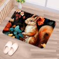 thumbnail image 5 of Squirrel Polyester Non-Slip Machine Washable Bath Rugs Door Rugs Floor Mat, 5 of 6
