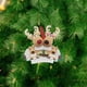thumbnail image 5 of Árbol De Navidad Personalizado Ciervo Reno Versión Familiar Colgante 2021 Adorno De Regalo De Invierno Cateissary HA044215-02, 5 of 5