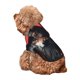 thumbnail image 5 of Fotbe Mysterious Hooded Wolf Sudadera con Estampado para Perros Pequeños – Suéter con Capucha para Mascotas, Tela Suave de Forro Polar con Bolsillo-Large, 5 of 7