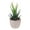 Dark Green, variant on Travelwant Artificial Succulent Plants, Fake Plants Small Plants in White Ceramic Potted, Mini Decorative Faux Succulents for Window Sills, Bathrooms, Office Spaces, Desk, Bookshelf and More