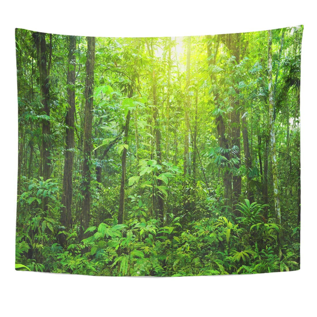 Rainforest Green Jungle awesome Canvas wall home Decor quality choose your size