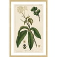 thumbnail image 2 of Marmont Hill "Honeyberry" Framed Painting Print, 2 of 5