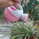thumbnail image 4 of Regadera Para Jardín Regadera Para Flores Infantiles Coordinación Mano-Ojo Juguete Educativo Botella De Riego Cubo De Riego Para Niños Y Niñas, 4 of 4