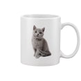 thumbnail image 1 of British Blue Cat Sitting Mug -Image by Shutterstock, 1 of 3