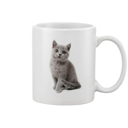 

British Blue Cat Sitting Mug -Image by Shutterstock