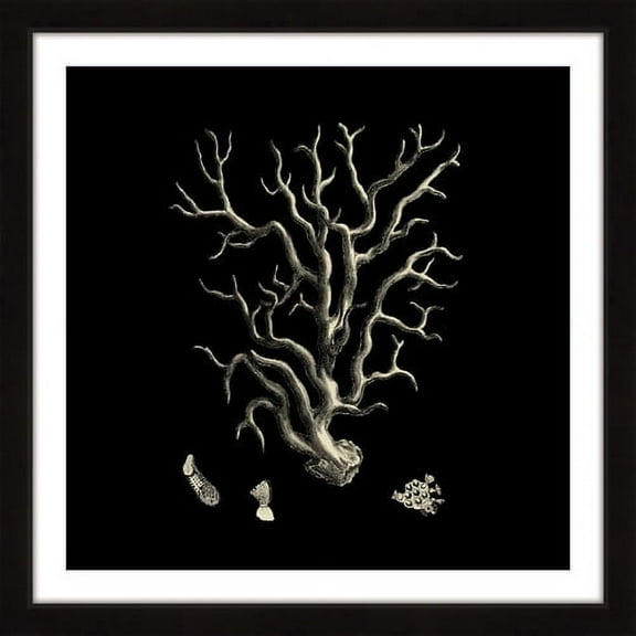"Black & Tan Coral I" Framed Painting Print