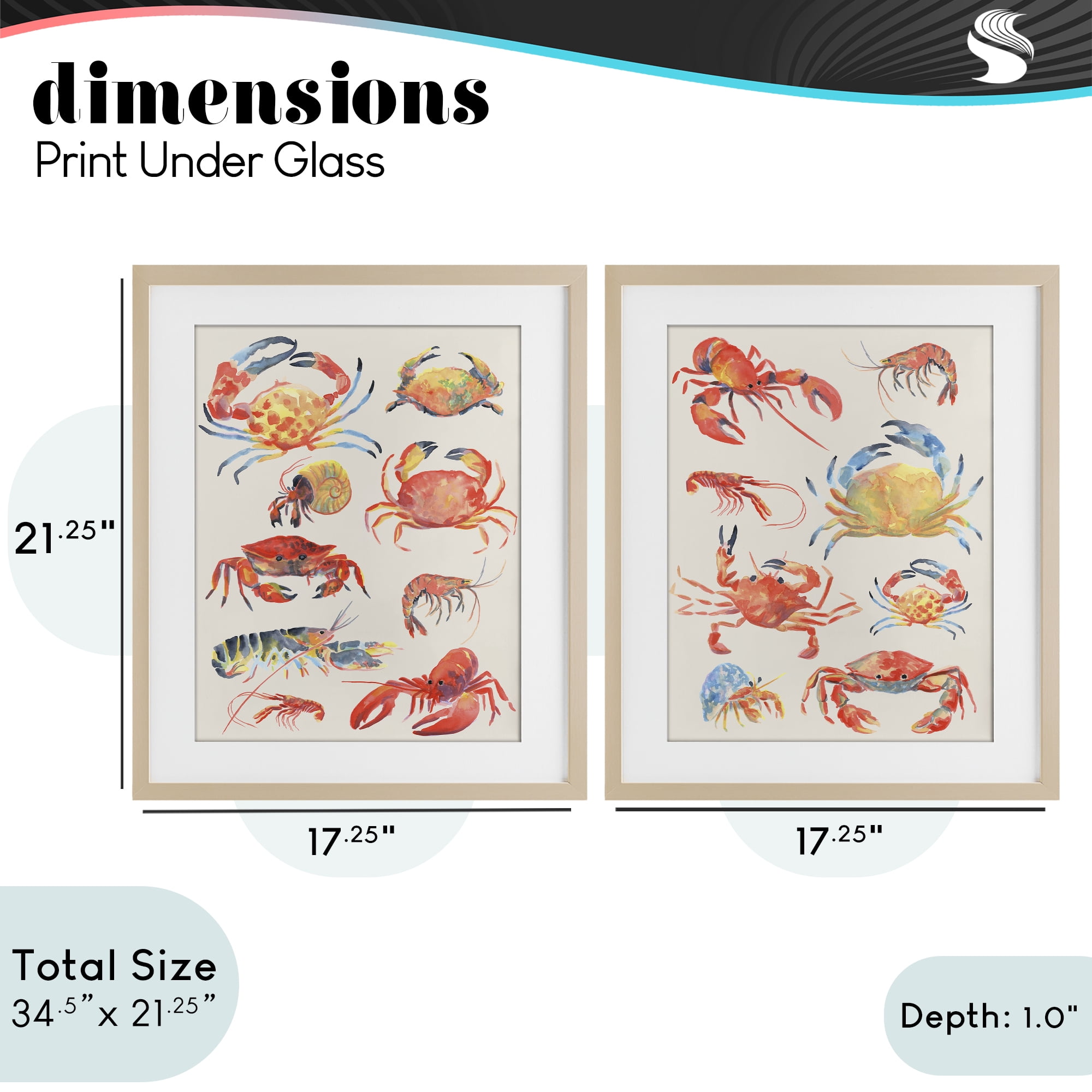 Stupell Industries Aquatic Crustacean Collection 2 Piece Birch Framed Print Under Glass Set, design by June Erica Vess