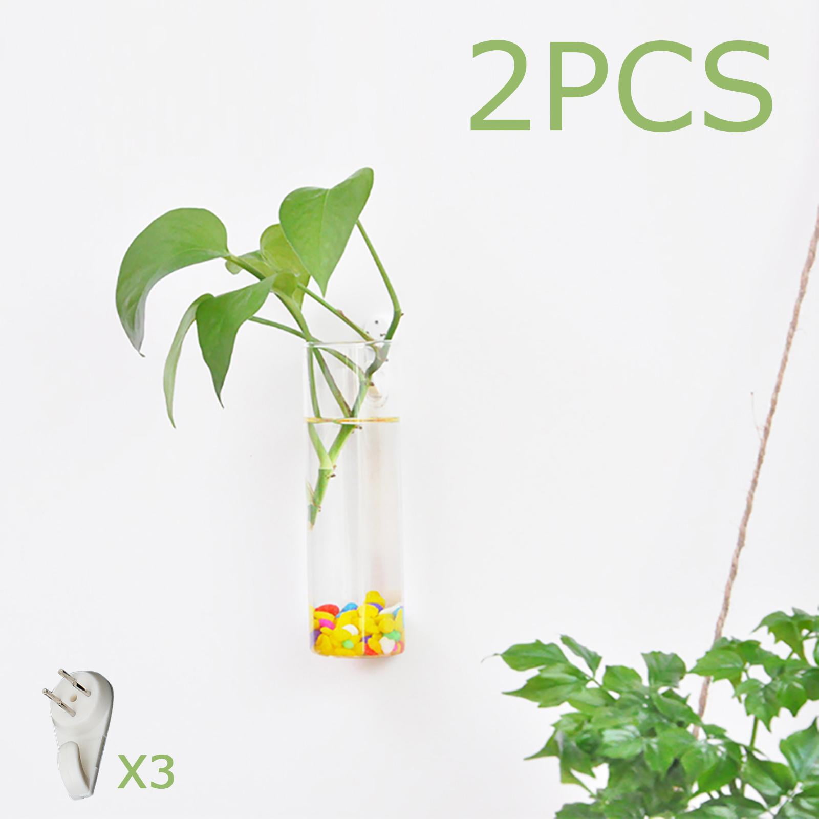 2Pcs Plant Propagation Stations Glass Wall Hanging Planter Terrarium Plant Holder Glass Tube Vase for Hydroponics Plants Home Office Decor