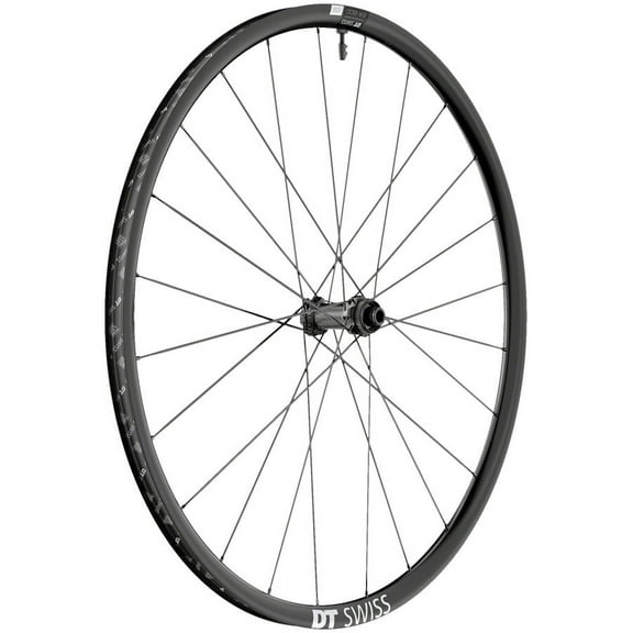 DT Swiss ER 1600 Spline 23 Front Wheel - 700, 12 x 100mm, Center-Lock, Black