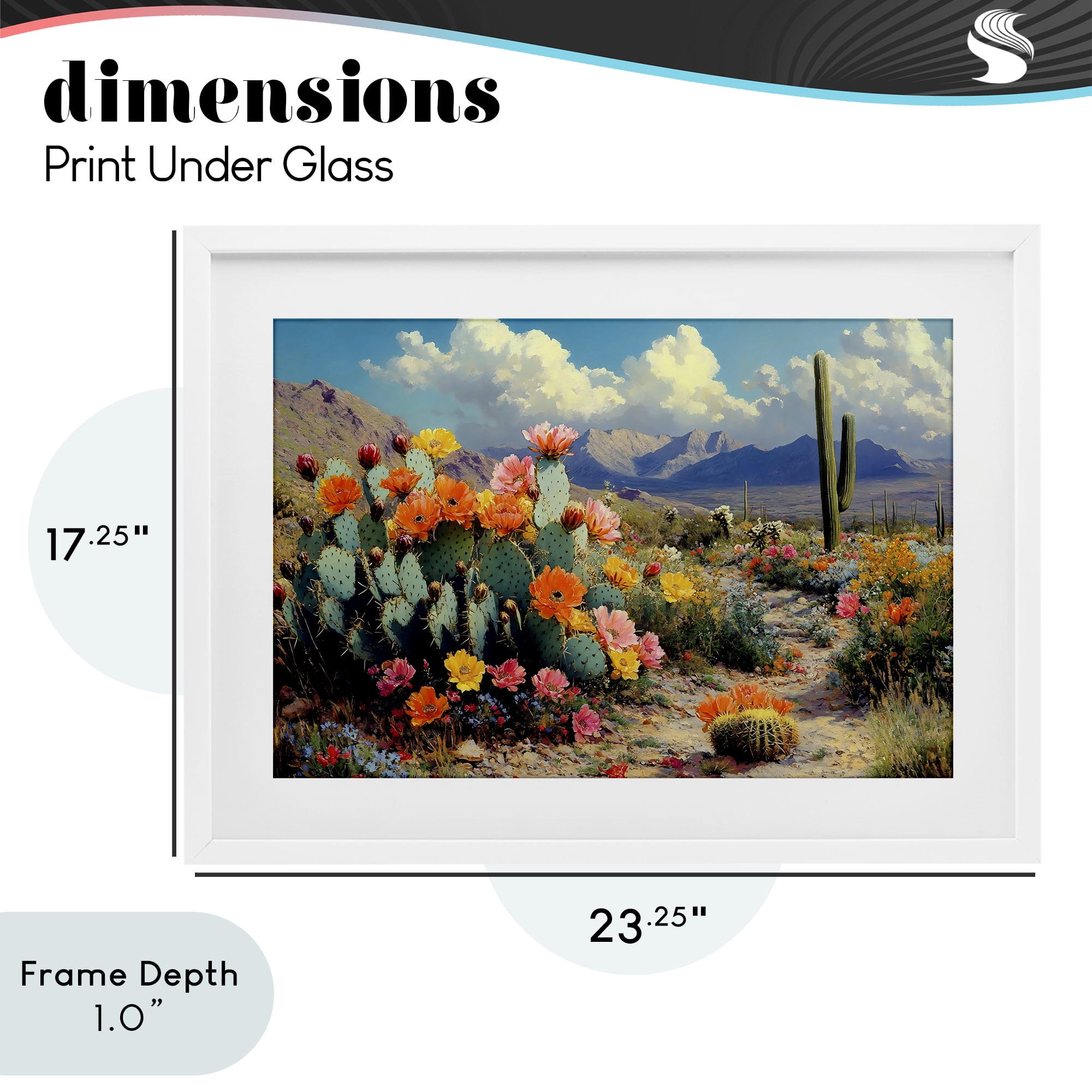 Stupell Industries Vibrant Cacti in Desert White Framed Print Under Glass, design by Franklyn Gregory
