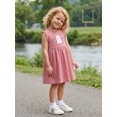 thumbnail image 6 of RUINIXCW Kids Toddler Baby Girl Gingham Plaid Dress Little Baby Girls Summer Tank Dress Ruffled Collar Embroidery Sweet A-line Dress 12 Months-5 Years, 6 of 9