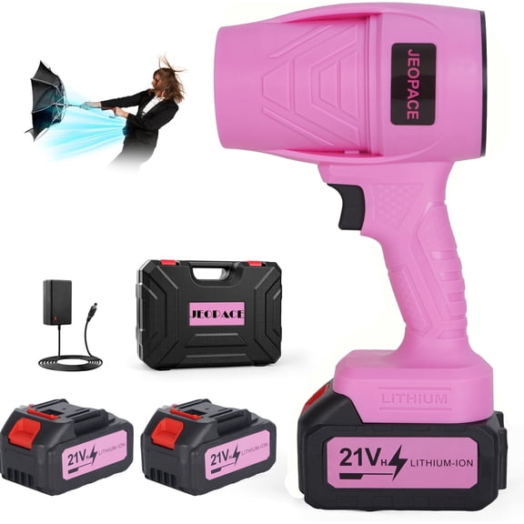 21V Cordless Leaf Blower with 2 Lithium Batteries & Charger, Portable Handheld Turbo Air Blower for Car Detailing, Yard Leaves, Garage Dust Cleaning with Hard Storage Case