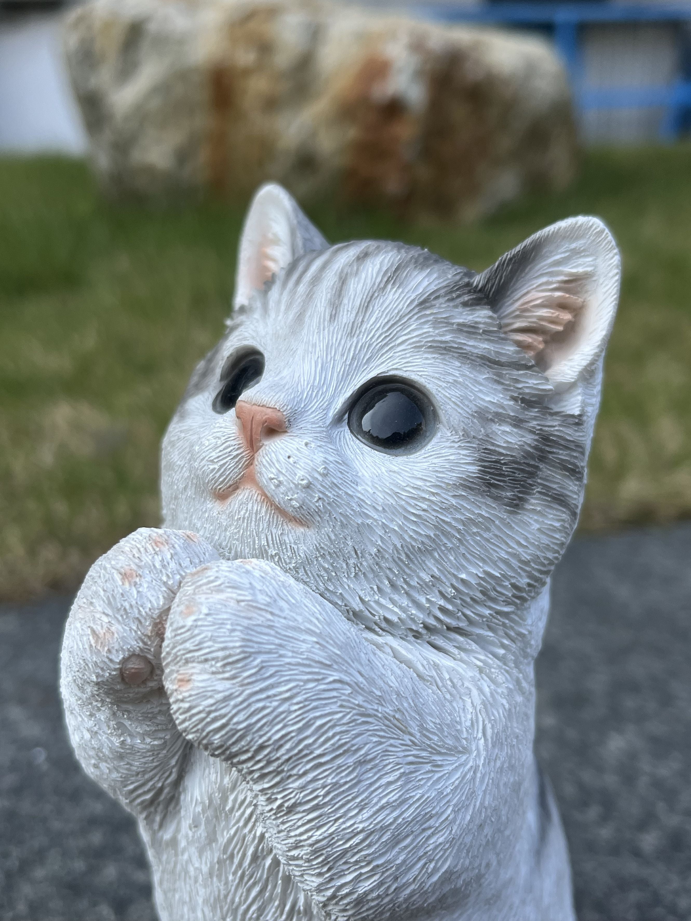 7" H Cat Kitten Statue Praying-Gray