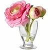 Ranunculus Arr In Glass Vase