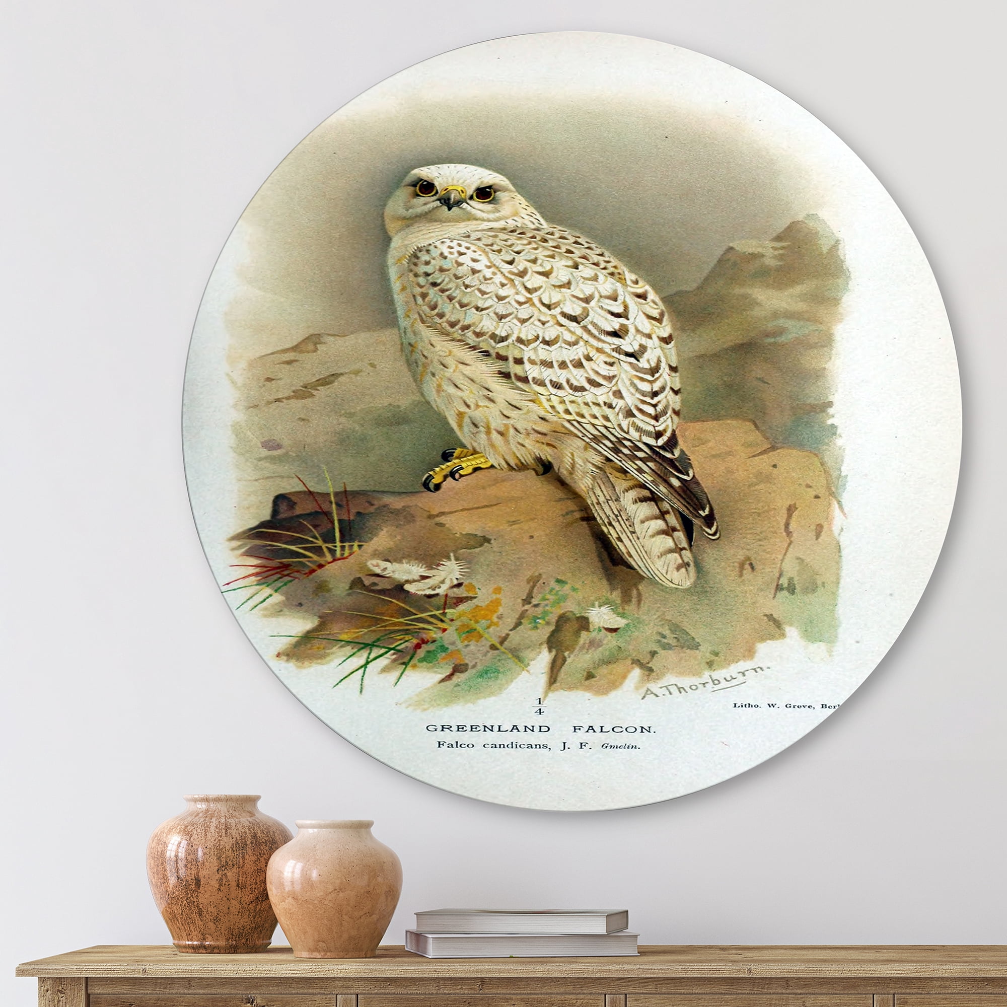 Designart 'Ancient Bird Life VII' Traditional Circle Metal Wall Art 11x11 - Disc of 11