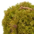 thumbnail image 3 of SAFAVIEH Faux 10 Inch Moss Pumpkin, Green, 3 of 5