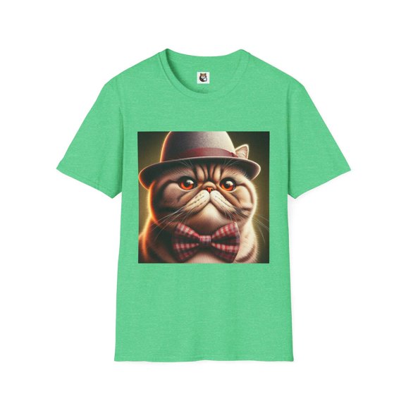 Exotic Shorthair Cat