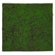thumbnail image 1 of GOOHOCHY Césped artificial de musgo falso cuadrado para paisajismo., 1 of 8