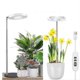 thumbnail image 5 of Carga USB, luz para plantas con brillo ajustable, lámpara LED de cultivo, altura ajustable, herramienta para el cultivo de plantas de interior y flores en el hogar., 5 of 5