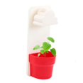 thumbnail image 1 of Office Mini Desktop Flower Pot Wall-hung Rain Cloud Watering Pot, 1 of 1