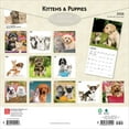 thumbnail image 2 of Kittens & Puppies | 2026 12x24" (Hanging) Square Wall Calendar | Plastic-Free, 2 of 9