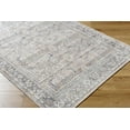 thumbnail image 4 of Mark&Day Washable Rugs, 7x9 Eran Traditional Light Silver Area Rug, Grey Carpet for Living Room, Bedroom or Kitchen (6'7" x 9', Machine Washable), 4 of 9