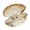 Champagne, variant on Misright Delicate Crystal Shell Figurine for Workspaces Or Shelf Seashells Decoration