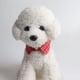 thumbnail image 2 of Zhuge Collar para gatos con hebilla ajustable, de seguridad, suave, para perros pequeños o gatos, tartán rojo, 2 of 4
