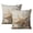 Beach (46), variant on Beach Starfish Summer Pillow Covers 16x16, Throw Pillow Covers Set of 2, Decorative Square Pillow Cases for Couch Sofa Living Room Home Decor