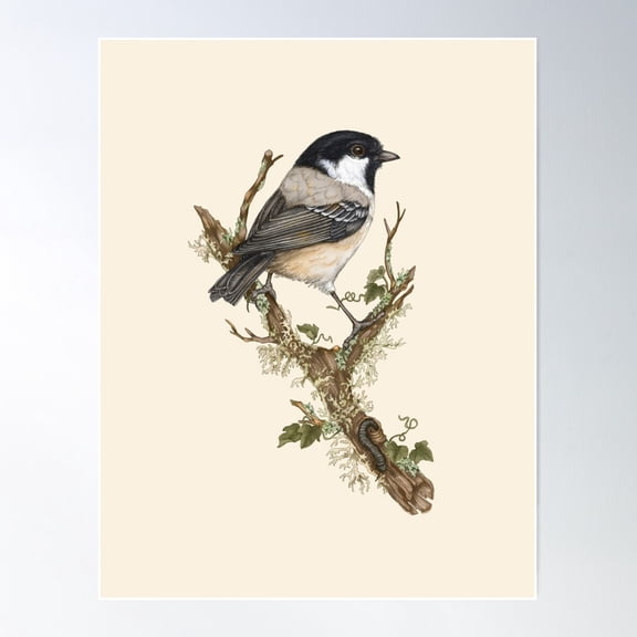 Chickadee Illustration, Bird Art Print Poster Wall Art, Modern Wall Decor For Living Room Bedroom, 8x12 UNFRAMED