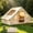 9.8x6.8 FT (4 to 6 people), variant on ICEELF Inflatable Camping Tent with Skylight, 420D Oxford Waterproof Air Tent with Pump, Storage Bag, Stove Jack for 4-10 Adults