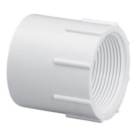 0.5 in. Skt x Fpt Female Adapter