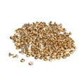 thumbnail image 3 of 100 Pcs Rivets en Strass Rivets Creux Rivets Décoratifs Rivets Décoratifs Laiton 6mm, 3 of 8