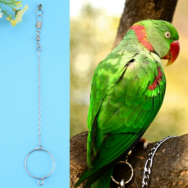 Birds Toys, Toy, Safe To Use Avoid Birds Flying Away, For Budgerigar Cockatiel Pet Store Household