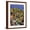 Brown Frame, variant on Art.com Charge of the Rough Riders At San Juan Hill in 1898 Giclee Print, 12" x 16"