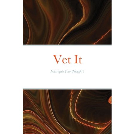 Vet It: Interrogate Your Thought Life (Paperback)