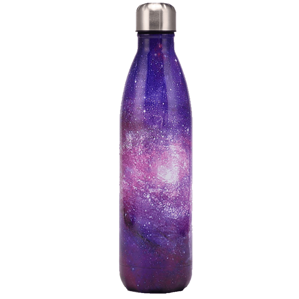 Purple Martin Stainless Steel Water Bottle – Episcopal School of Nashville