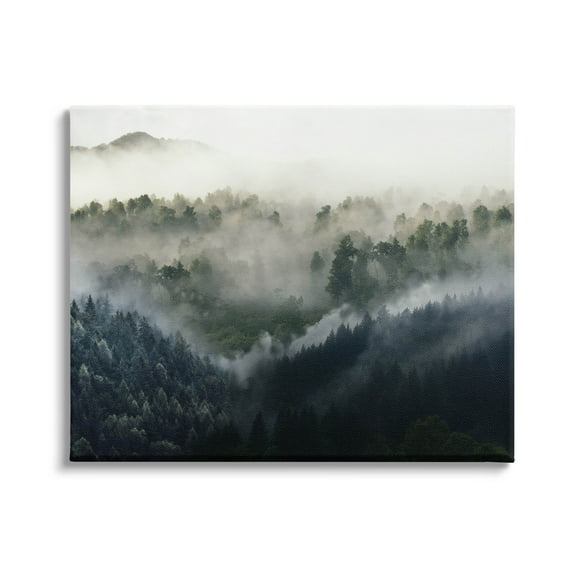 Stupell Industries Foggy Green Mountain Peaks Photograph Gallery Wrapped Canvas Print Wall Art, Design by Ziwei Li