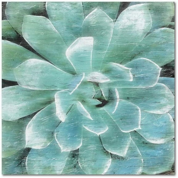 Courtside Market WEB-CSP173-30x30 30 x 30 in. Succulent Memory I Gallery-Wrapped Canvas Wall Art