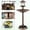 Bronze, variant on Chateauy Outdoor Standing Bird Bath, Pedestal Design with Solar Light, Bird Feeder and Flower Planter for Garden Landscaping