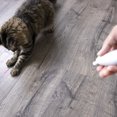 thumbnail image 2 of Loco Laser Electronic Light Laser Cat   Battery Powered, 2 of 9
