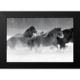 thumbnail image 2 of Delimont, Danita 18x13 Black Modern Framed Museum Art Print Titled - Winter Roundup I, 2 of 5